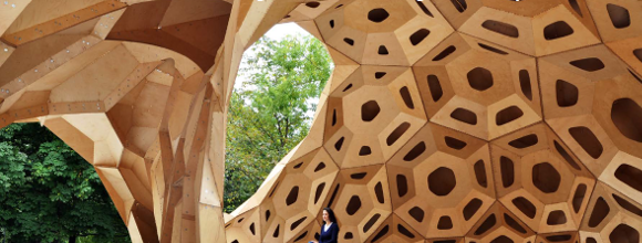 Impressive Pavilion